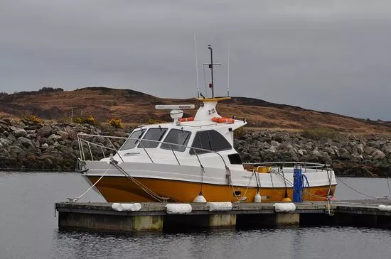 Fyne Sea Tours