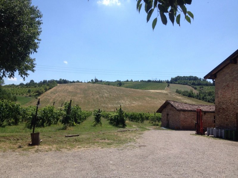 Azienda Agricola San Polo