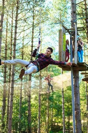 Go Ape Forest Of Dean Mallards Pike