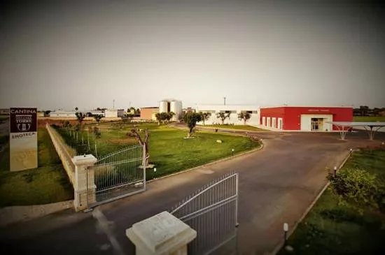 Cantina Vecchia Torre