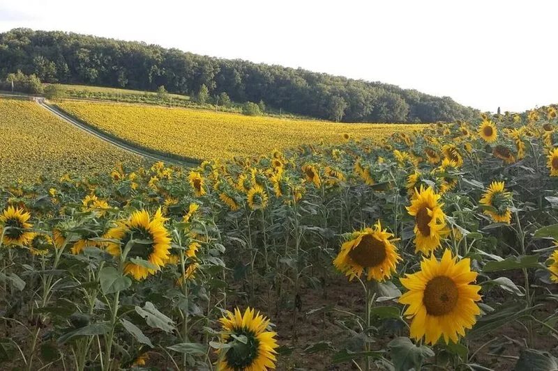 Sublime views, peace & serenity in French Tuscany. Air conditioning, heated pool