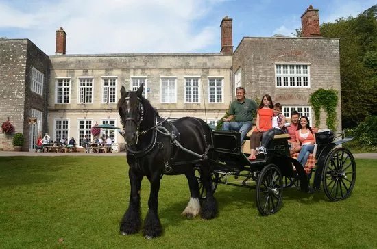 Cockington Carriage Company