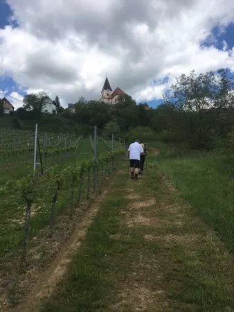 Gesamtsteirische Vinothek