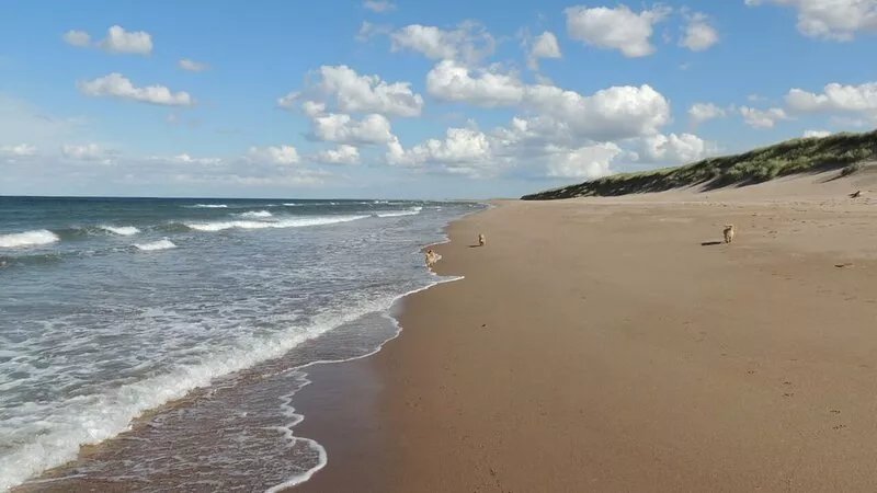 Linnet Cottage (Thornton Farm Cottages - Berwick-upon-Tweed, Northumberland)