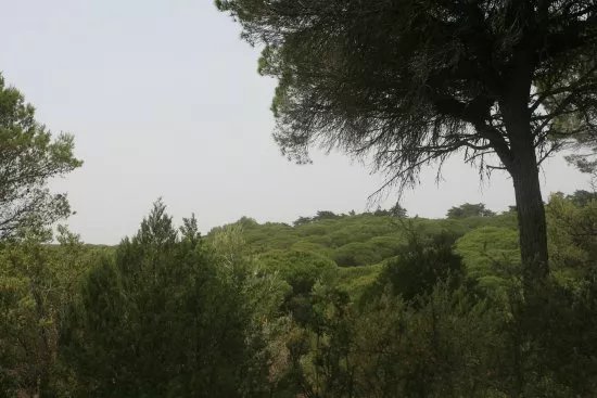 Parque Natural Las Brenas