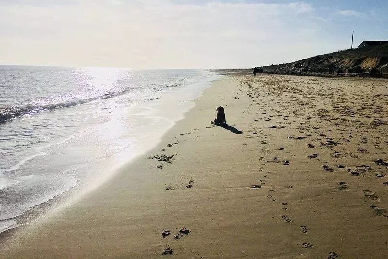 Charming, dog friendly fisherman’s cottage - moments from the beach
