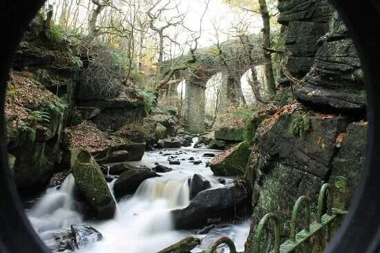 Healey Dell Nature Reserve