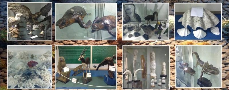 Museo Della Biodirversita e CITES