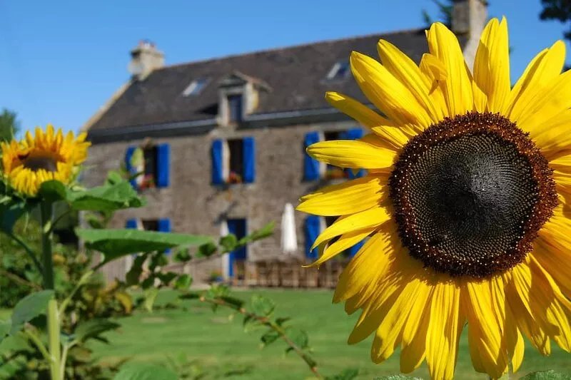 St Leon - La Fermiere and Le Pressoir combined