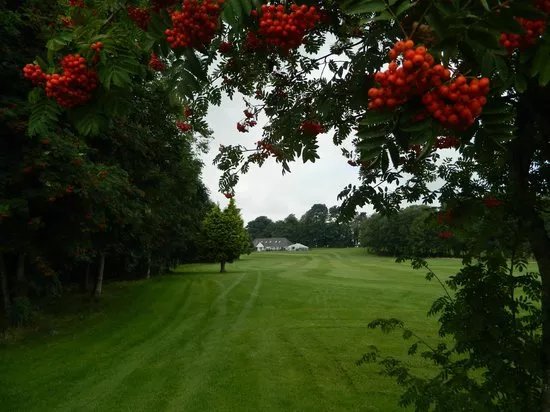 Coed-Y-Mwstwr Golf Club