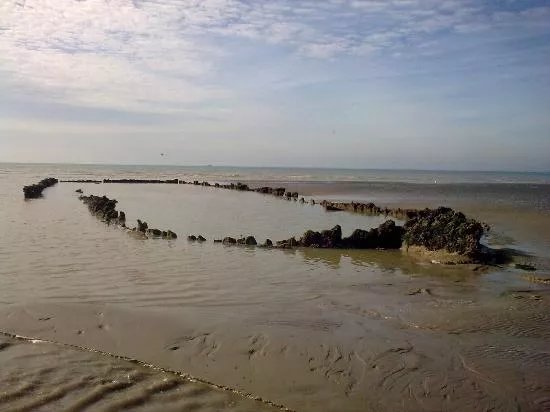 The Amsterdam Shipwreck