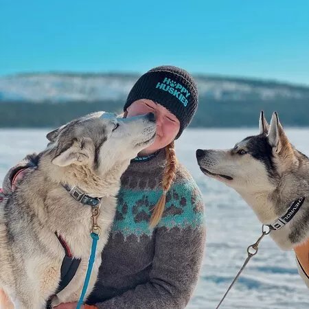 Happy Huskies