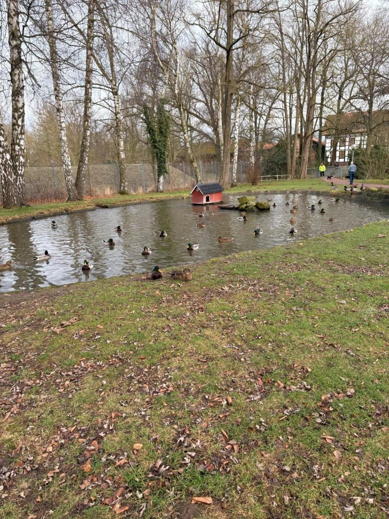 Enten Park