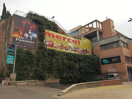 Mercat Municipal Puigmercadal