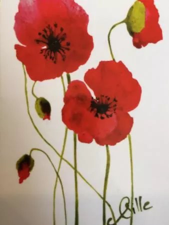 Boutique Coquelicot