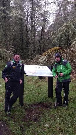 Killeter Forest