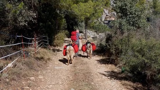 Euro Goat Trekkers