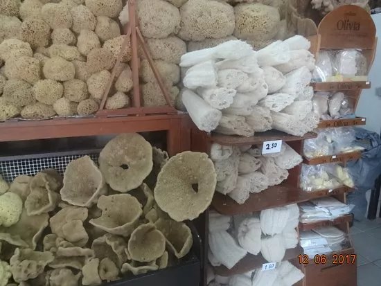 Factory of Natural Sponges