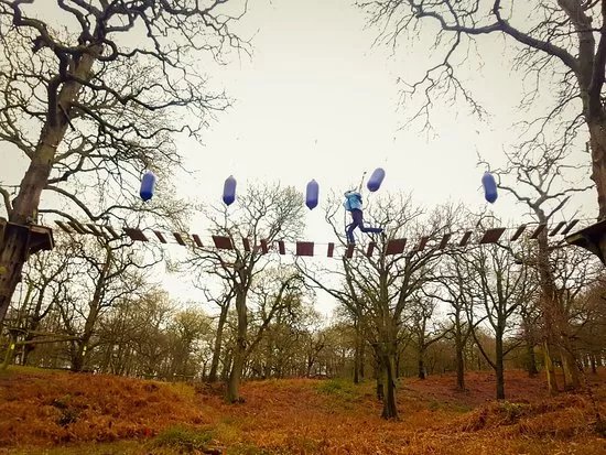 Trentham Treetop Adventures