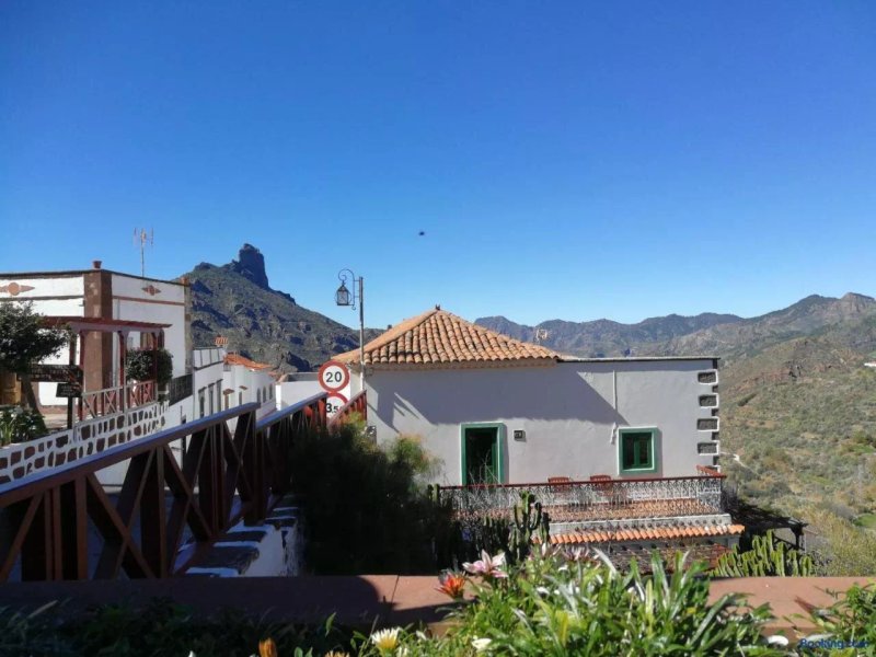 Finca Casa Servando