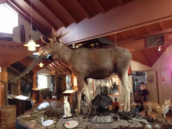 Aland Hunting & Fishing Museum