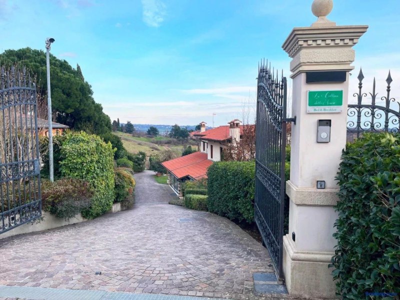 La Collina Delle Acacie