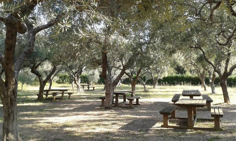 Casa per Ferie Giardino Scalbrini