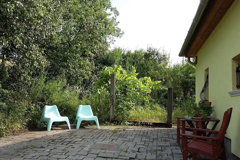Fantastic family vacation home with ecological pool in the middle of nature.