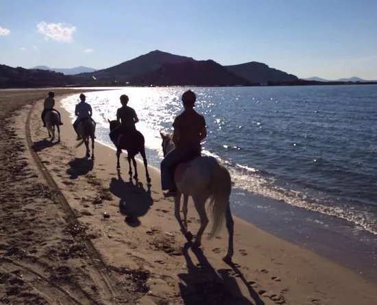 Naxos Horse Riding Club