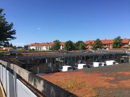 Augustenborg Botanical Roof Garden