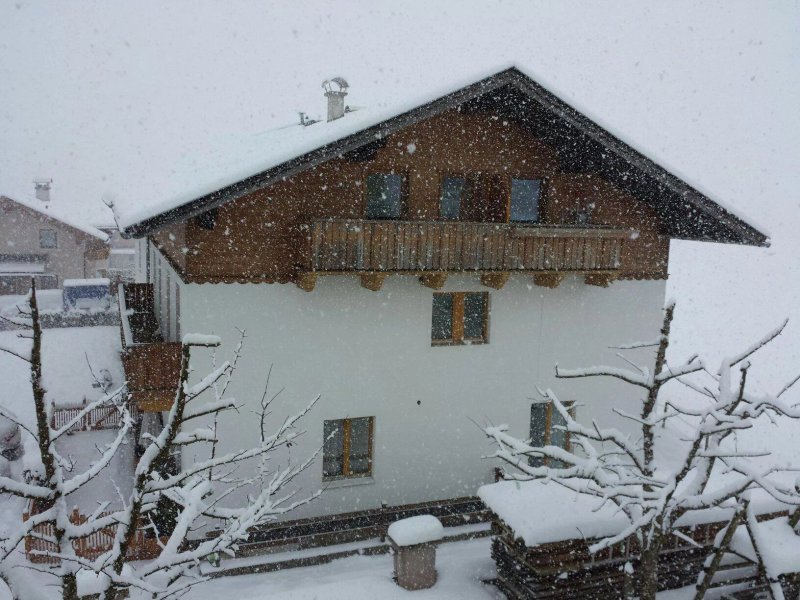 Apartment Haus Rosi