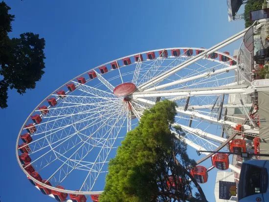 The Wheel of Venice
