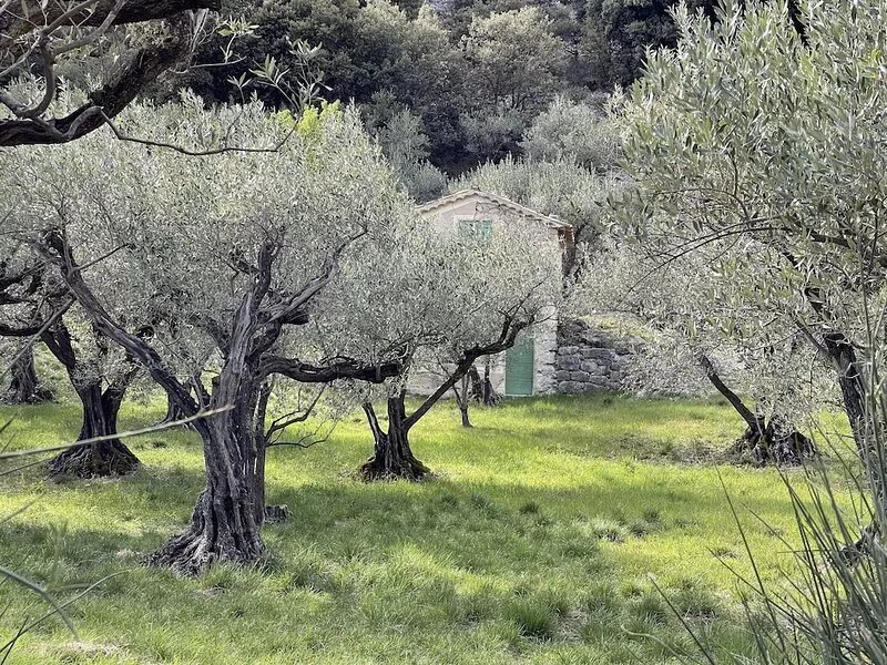 Le Balcon du Saint-Julien: comfortable gîte with breathtaking views (rated 4
