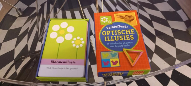 Het Huis Dat Met Je Hersenen Speelt