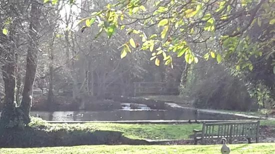 Bradbourne Lake Park