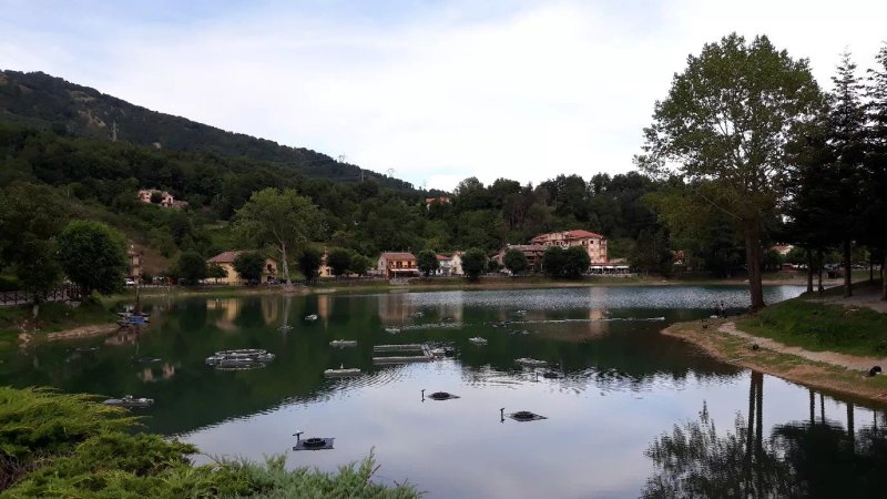 Pensione Oliva