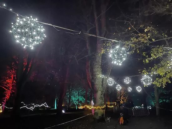 Wimbledon Light Festival