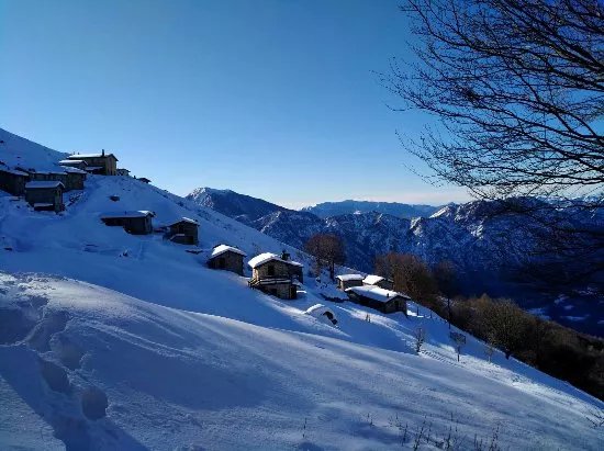 Pian Delle Betulle