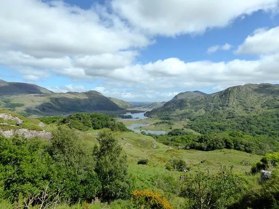 Ladies' View
