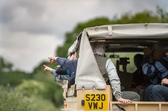 Knepp Wildland Safaris
