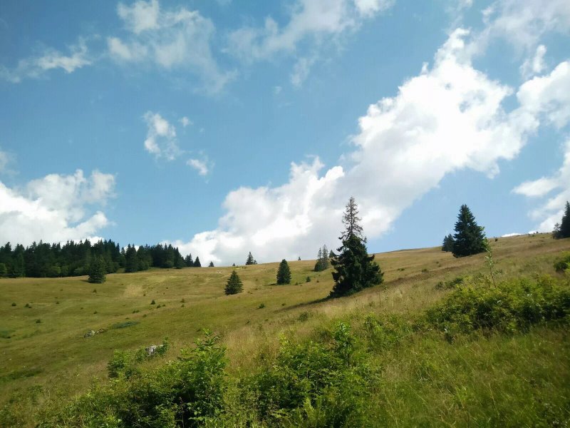 Berggasthaus Zum Krunkelbach