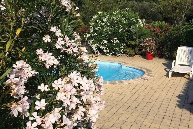Large air-conditioned villa in mature garden, swimming pool