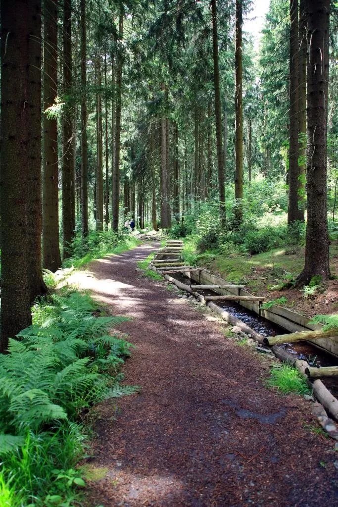 Rohrgraben Wanderweg