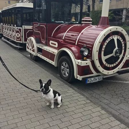 Altstadtexpress Koblenz