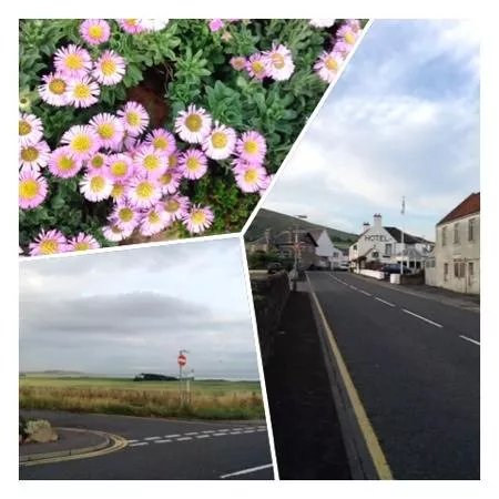 Upper Largo Restaurant
