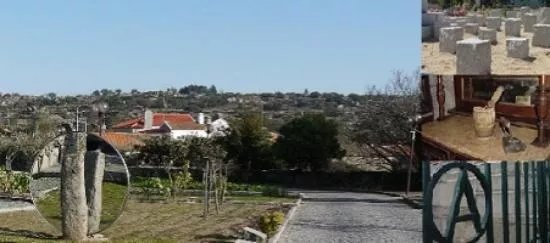 Grupo de Amigos do Manigoto