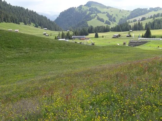 Siusi-Seiser Alm Cable Car