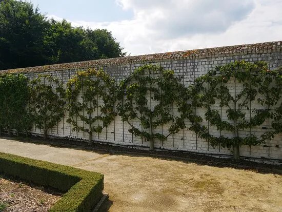 Museumtuin Van Gaasbeek