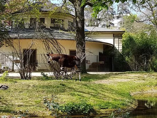 Parks & Nature