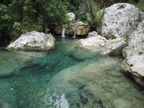 Esploriamo La Natura